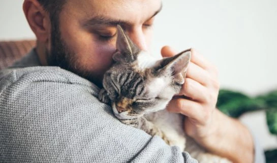 Probiotische Nahrungsergänzungsmittel für die Katze